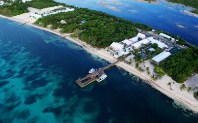 Little Cayman Beach Resort -2018